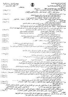 اسئلة واجوبة الاسلامية واللغة العربية الثالث المتوسط الدور الاول 2022 اسئلة واجوبة التربية الأسلامية واللغة العربية للصف الثالث متوسط ٢٠٢٢ الدور الاول